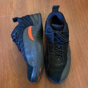 Air Jordan 12